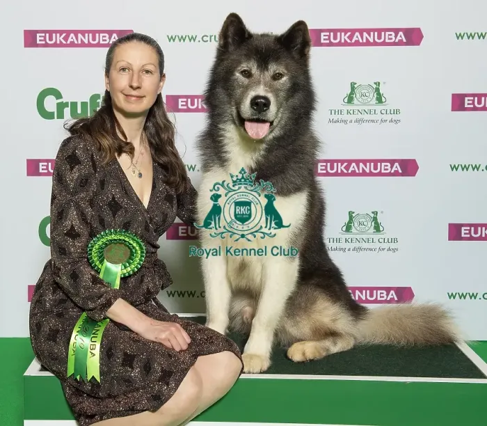 Framed Print : Crufts 2019 - Best of Breed  /  Working