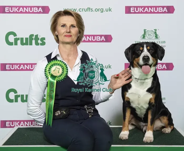 Framed Print : Crufts 2019 - Best of Breed / Working Framed Print : Crufts 2019 - Best of Breed / Working
