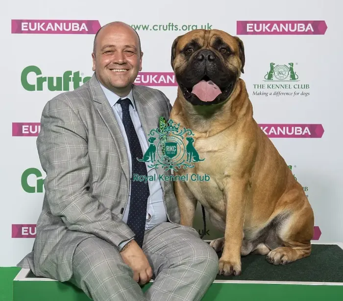 Framed Print : Crufts 2019 - Best of Breed / Working Framed Print : Crufts 2019 - Best of Breed / Working