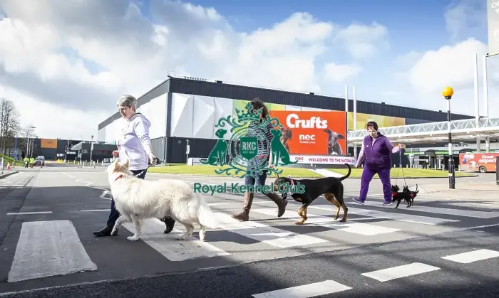 Framed Print : Crufts 2019 - Birmingham Launch, NEC, UK - 5 Mar 2019 Framed Print : Crufts 2019 - Birmingham Launch, NEC, UK - 5 Mar 2019