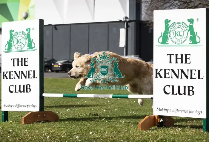 Framed Print : Crufts 2019 - Birmingham Launch, NEC, UK - 5 Mar 2019