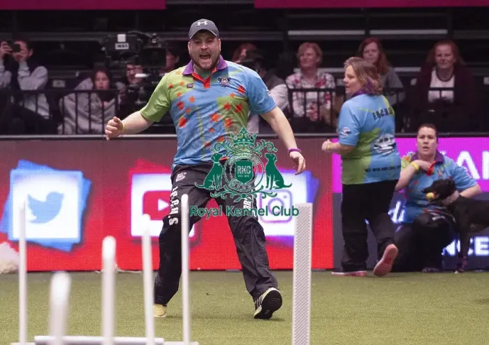 Framed Print : Crufts 2019 - Day Four, NEC, UK - 10 Mar 2019 Framed Print : Crufts 2019 - Day Four, NEC, UK - 10 Mar 2019