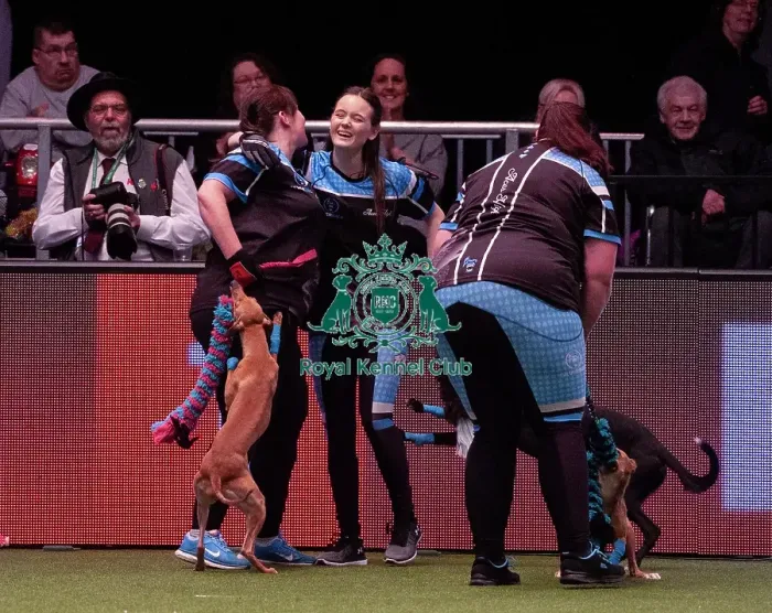 Framed Print : Crufts 2019 - Day Four, NEC, UK - 10 Mar 2019 Framed Print : Crufts 2019 - Day Four, NEC, UK - 10 Mar 2019