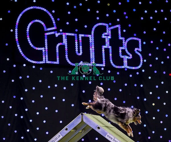 Crufts 2019 - Day Four, NEC, UK - 10 Mar 2019