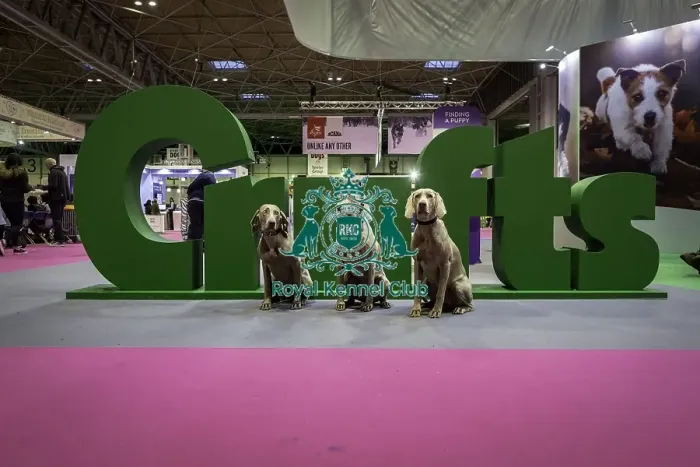 Framed Print : Crufts 2019 - Day One, NEC, UK - 7 Mar 2019 Framed Print : Crufts 2019 - Day One, NEC, UK - 7 Mar 2019