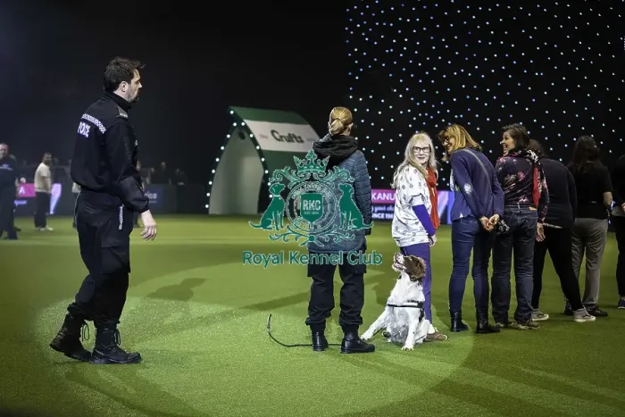 Framed Print : Crufts 2019 - Day One, NEC, UK - 7 Mar 2019 Framed Print : Crufts 2019 - Day One, NEC, UK - 7 Mar 2019
