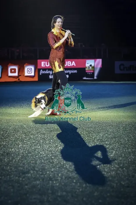 Framed Print : Crufts 2019 - Day One, NEC, UK - 7 Mar 2019 Framed Print : Crufts 2019 - Day One, NEC, UK - 7 Mar 2019