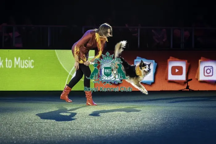 Framed Print : Crufts 2019 - Day One, NEC, UK - 7 Mar 2019 Framed Print : Crufts 2019 - Day One, NEC, UK - 7 Mar 2019