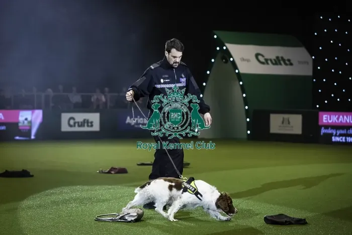 Framed Print : Crufts 2019 - Day One, NEC, UK - 7 Mar 2019 Framed Print : Crufts 2019 - Day One, NEC, UK - 7 Mar 2019