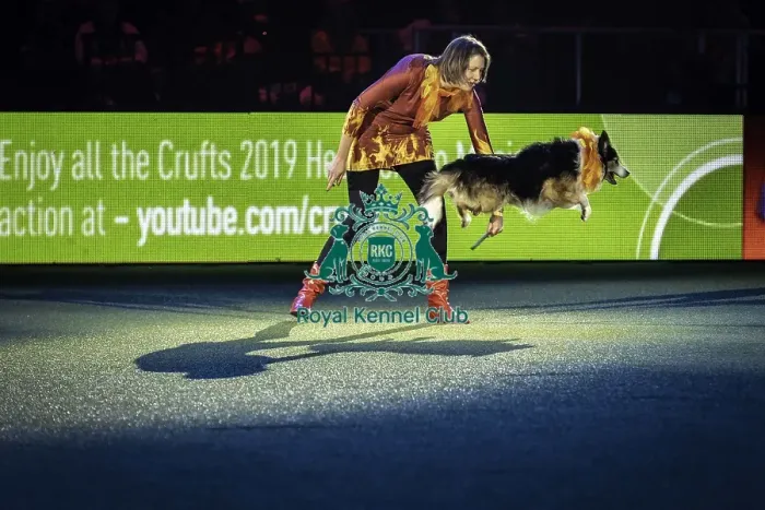 Framed Print : Crufts 2019 - Day One, NEC, UK - 7 Mar 2019 Framed Print : Crufts 2019 - Day One, NEC, UK - 7 Mar 2019