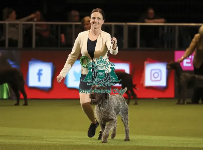 Framed Print : Crufts 2019 - Day One, NEC, UK - 7 Mar 2019 Framed Print : Crufts 2019 - Day One, NEC, UK - 7 Mar 2019