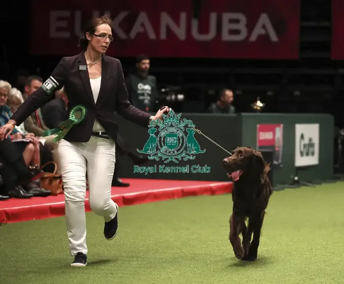 Framed Print : Crufts 2019 - Day One, NEC, UK - 7 Mar 2019 Framed Print : Crufts 2019 - Day One, NEC, UK - 7 Mar 2019