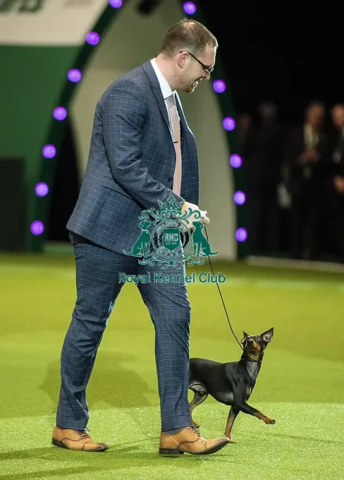Framed Print : Crufts 2019 - Day One, NEC, UK - 7 Mar 2019