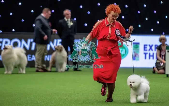 Framed Print : Crufts 2019 - Day One, NEC, UK - 7 Mar 2019 Framed Print : Crufts 2019 - Day One, NEC, UK - 7 Mar 2019