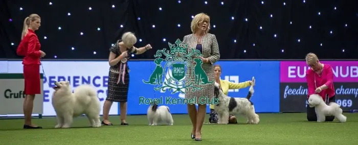 Framed Print : Crufts 2019 - Day One, NEC, UK - 7 Mar 2019 Framed Print : Crufts 2019 - Day One, NEC, UK - 7 Mar 2019