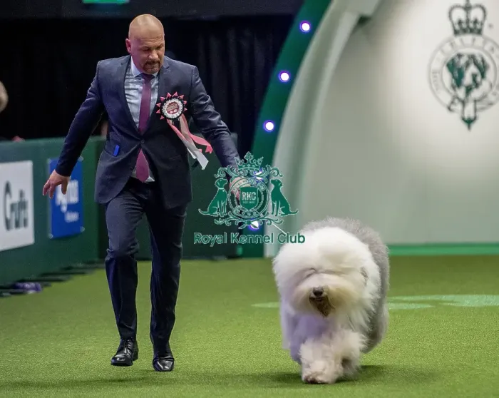 Framed Print : Crufts 2019 - Day One, NEC, UK - 7 Mar 2019 Framed Print : Crufts 2019 - Day One, NEC, UK - 7 Mar 2019