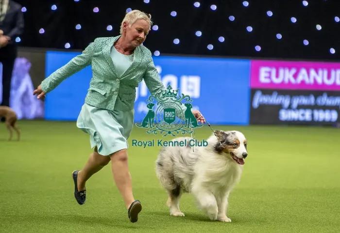 Framed Print : Crufts 2019 - Day One, NEC, UK - 7 Mar 2019