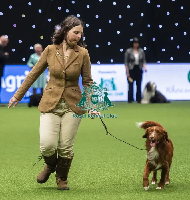 Framed Print : Crufts 2019 - Day One, NEC, UK - 7 Mar 2019
