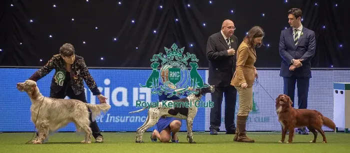 Framed Print : Crufts 2019 - Day One, NEC, UK - 7 Mar 2019