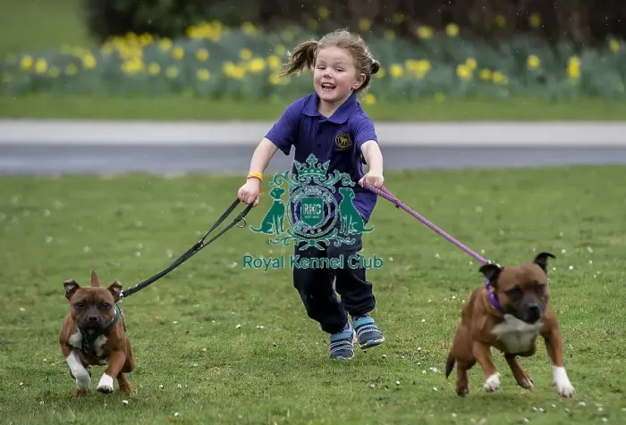 Framed Print : Crufts 2019 - Day One, NEC, UK - 7 Mar 2019 Framed Print : Crufts 2019 - Day One, NEC, UK - 7 Mar 2019