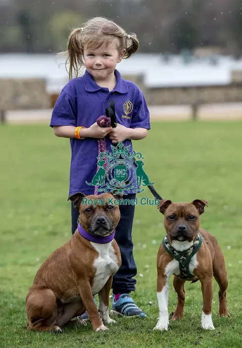 Framed Print : Crufts 2019 - Day One, NEC, UK - 7 Mar 2019 Framed Print : Crufts 2019 - Day One, NEC, UK - 7 Mar 2019
