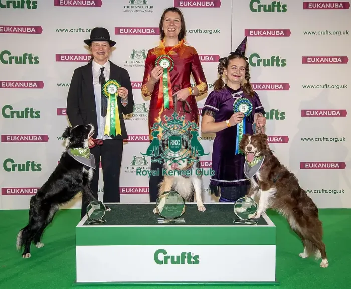 Framed Print : Crufts 2019 - Day One, NEC, UK - 7 Mar 2019 Framed Print : Crufts 2019 - Day One, NEC, UK - 7 Mar 2019