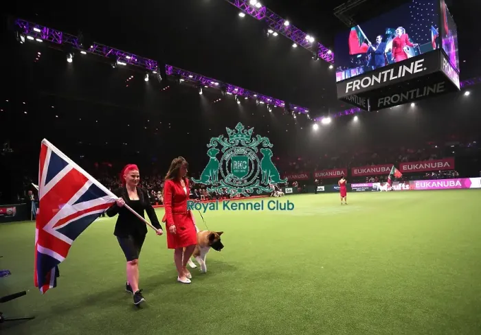 Framed Print : Crufts 2019 - Day One, NEC, UK - 7 Mar 2019 Framed Print : Crufts 2019 - Day One, NEC, UK - 7 Mar 2019