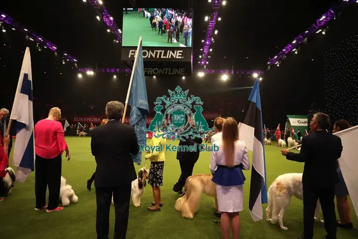 Framed Print : Crufts 2019 - Day One, NEC, UK - 7 Mar 2019 Framed Print : Crufts 2019 - Day One, NEC, UK - 7 Mar 2019
