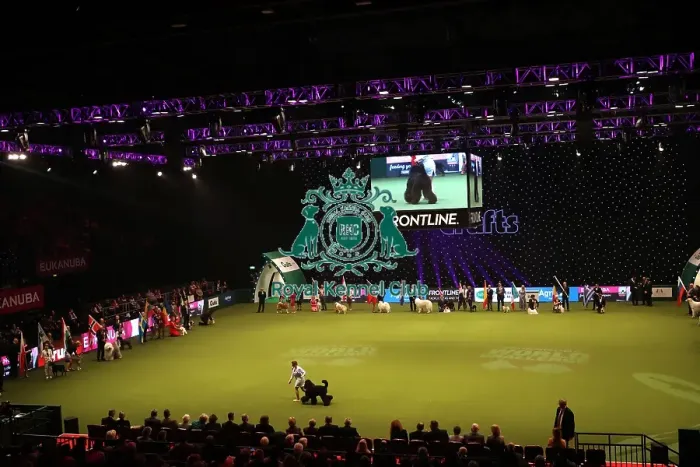 Framed Print : Crufts 2019 - Day One, NEC, UK - 7 Mar 2019 Framed Print : Crufts 2019 - Day One, NEC, UK - 7 Mar 2019