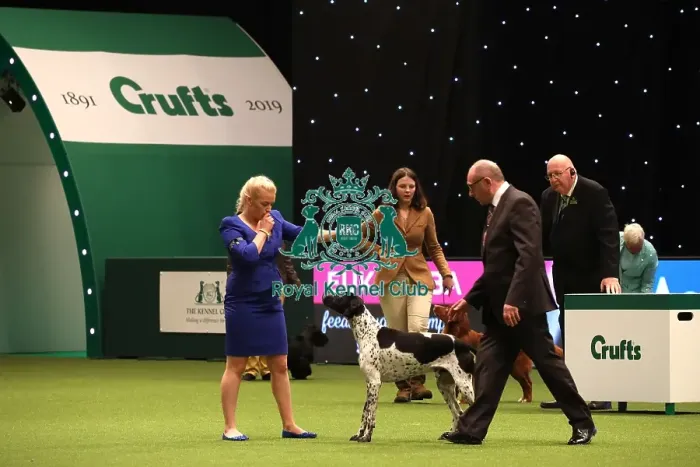 Framed Print : Crufts 2019 - Day One, NEC, UK - 7 Mar 2019