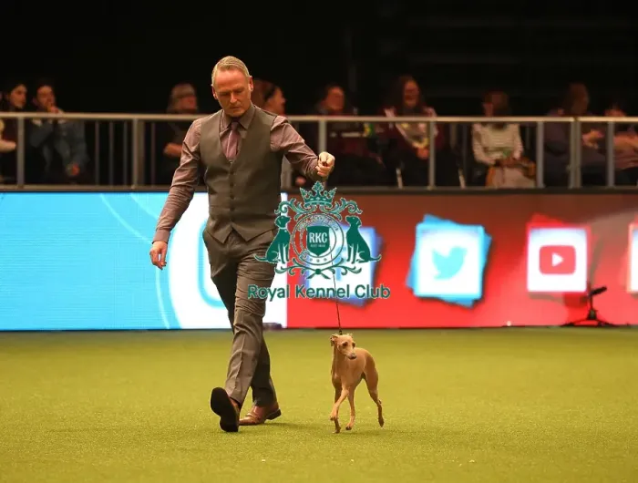 Framed Print : Crufts 2019 - Day One, NEC, UK - 7 Mar 2019 Framed Print : Crufts 2019 - Day One, NEC, UK - 7 Mar 2019