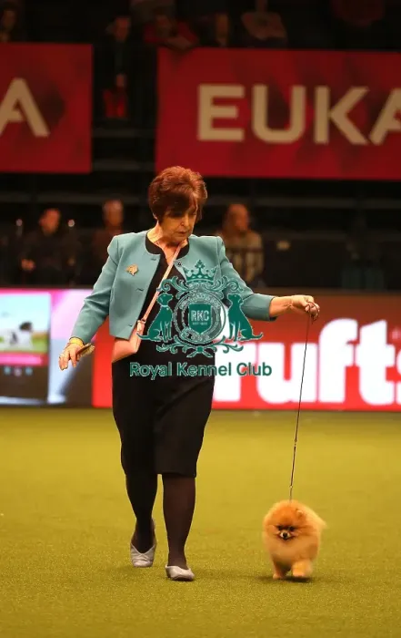 Framed Print : Crufts 2019 - Day One, NEC, UK - 7 Mar 2019