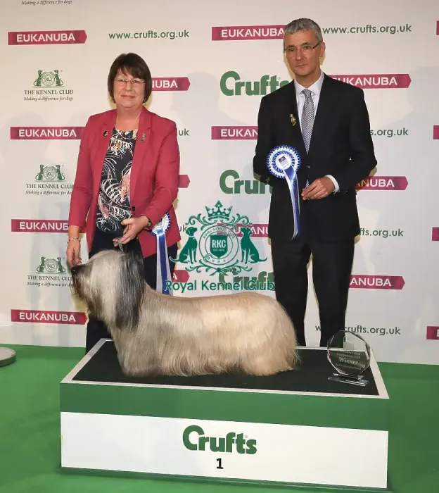 Framed Print : Crufts 2019 - Day One, NEC, UK - 7 Mar 2019 Framed Print : Crufts 2019 - Day One, NEC, UK - 7 Mar 2019
