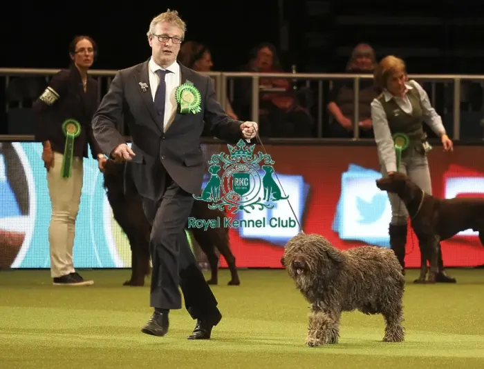Framed Print : Crufts 2019 - Day One, NEC, UK - 7 Mar 2019 Framed Print : Crufts 2019 - Day One, NEC, UK - 7 Mar 2019