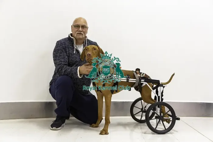 Framed Print : Crufts 2019 - Day One, NEC, UK - 7 Mar 2019 Framed Print : Crufts 2019 - Day One, NEC, UK - 7 Mar 2019