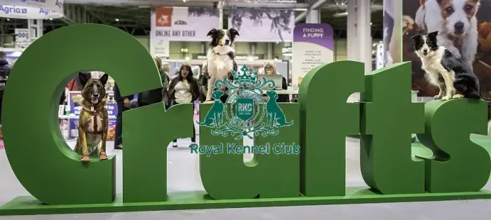 Framed Print : Crufts 2019 - Day One, NEC, UK - 7 Mar 2019 Framed Print : Crufts 2019 - Day One, NEC, UK - 7 Mar 2019