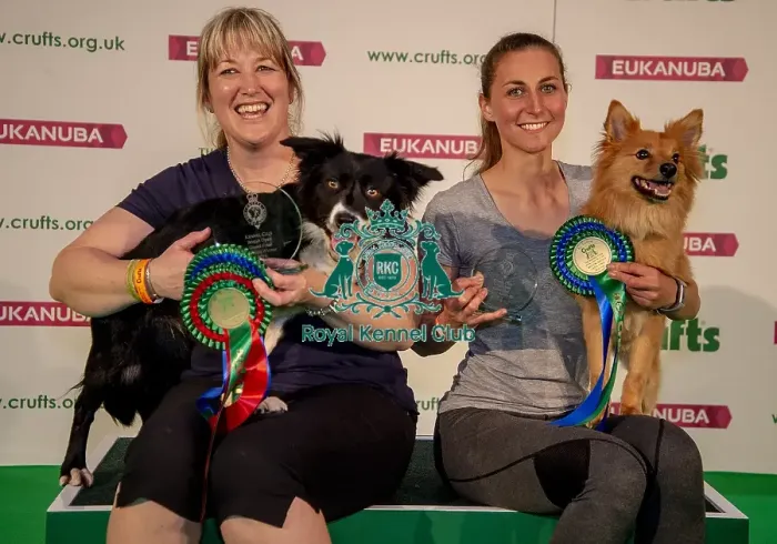 Framed Print : Crufts 2019 - Day One, NEC, UK - 7 Mar 2019 Framed Print : Crufts 2019 - Day One, NEC, UK - 7 Mar 2019