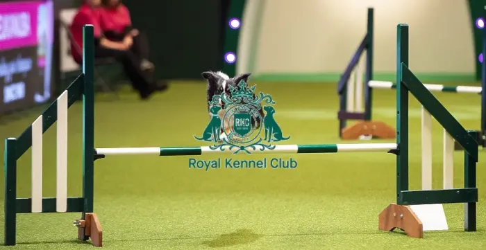 Framed Print : Crufts 2019 - Day One, NEC, UK - 7 Mar 2019 Framed Print : Crufts 2019 - Day One, NEC, UK - 7 Mar 2019