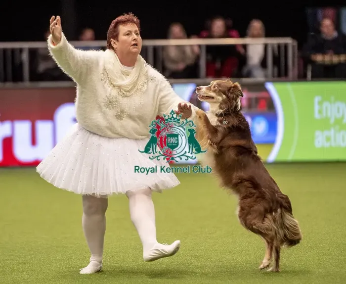 Framed Print : Crufts 2019 - Day One, NEC, UK - 7 Mar 2019 Framed Print : Crufts 2019 - Day One, NEC, UK - 7 Mar 2019