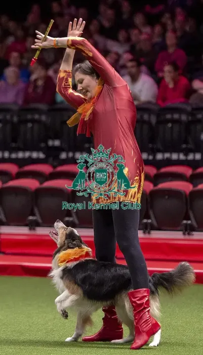 Framed Print : Crufts 2019 - Day One, NEC, UK - 7 Mar 2019 Framed Print : Crufts 2019 - Day One, NEC, UK - 7 Mar 2019