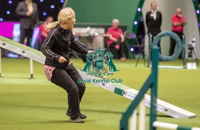 Framed Print : Crufts 2019 - Day One, NEC, UK - 7 Mar 2019 Framed Print : Crufts 2019 - Day One, NEC, UK - 7 Mar 2019