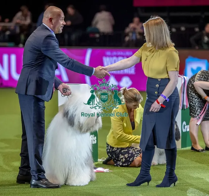 Framed Print : Crufts 2019 - Day One, NEC, UK - 7 Mar 2019 Framed Print : Crufts 2019 - Day One, NEC, UK - 7 Mar 2019
