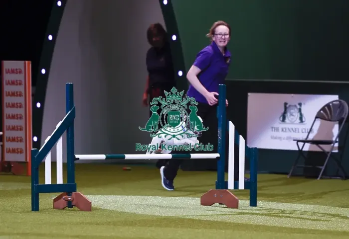 Framed Print : Crufts 2019 - Day One, NEC, UK - 7 Mar 2019 Framed Print : Crufts 2019 - Day One, NEC, UK - 7 Mar 2019