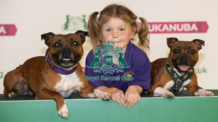 Framed Print : Crufts 2019 - Day One, NEC, UK - 7 Mar 2019 Framed Print : Crufts 2019 - Day One, NEC, UK - 7 Mar 2019