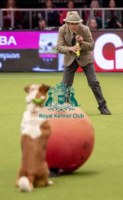 Framed Print : Crufts 2019 - Day One, NEC, UK - 7 Mar 2019 Framed Print : Crufts 2019 - Day One, NEC, UK - 7 Mar 2019