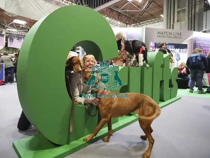 Framed Print : Crufts 2019 - Day One, NEC, UK - 7 Mar 2019 Framed Print : Crufts 2019 - Day One, NEC, UK - 7 Mar 2019
