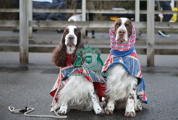 Framed Print : Crufts 2019 - Day One, NEC, UK - 7 Mar 2019 Framed Print : Crufts 2019 - Day One, NEC, UK - 7 Mar 2019