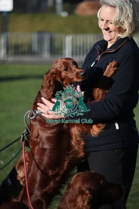 Framed Print : Crufts 2019 - Day One, NEC, UK - 7 Mar 2019