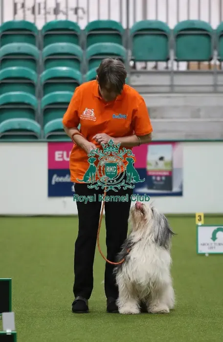 Framed Print : Crufts 2019 - Day One, NEC, UK - 7 Mar 2019