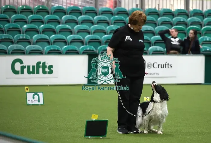 Framed Print : Crufts 2019 - Day One, NEC, UK - 7 Mar 2019 Framed Print : Crufts 2019 - Day One, NEC, UK - 7 Mar 2019